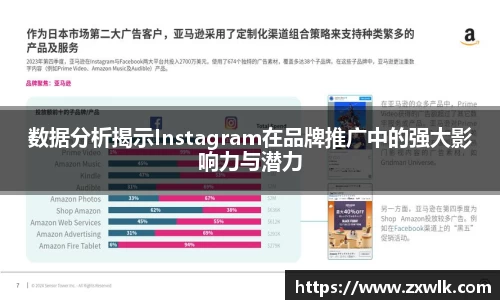 数据分析揭示Instagram在品牌推广中的强大影响力与潜力