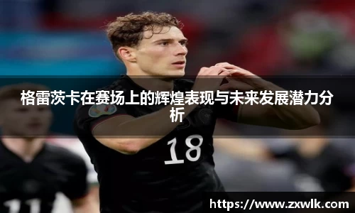 格雷茨卡在赛场上的辉煌表现与未来发展潜力分析
