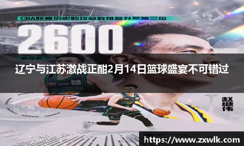 辽宁与江苏激战正酣2月14日篮球盛宴不可错过